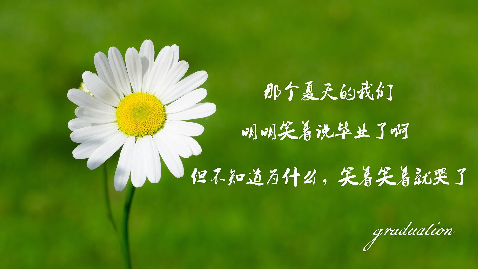 芳纶复合材料是合成材料吗（芳纶复合材料英文缩写）